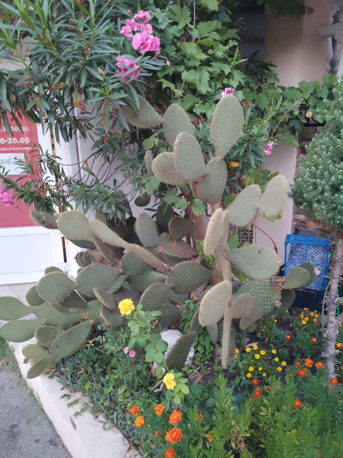 Фото Галина