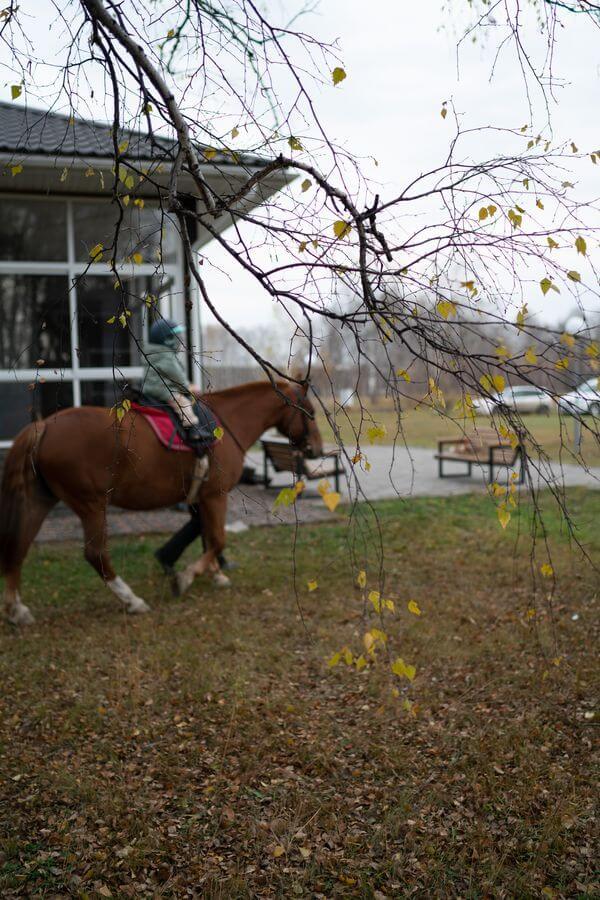 Фото Бабушкина дача