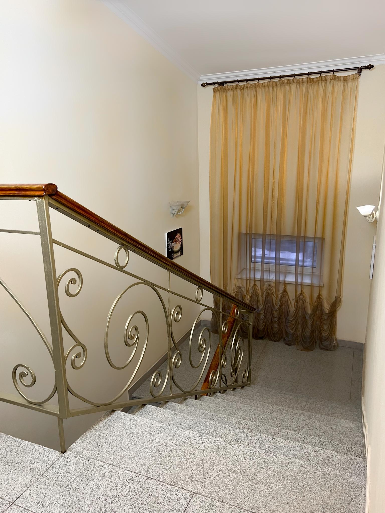 Фото Наутилус