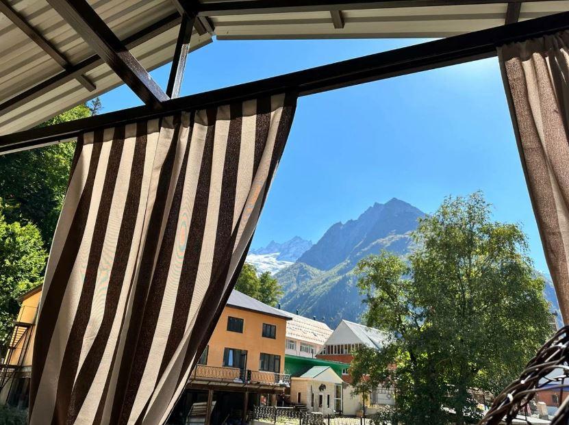 Фото Шафран