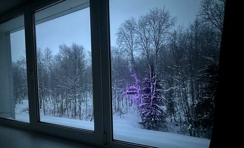 Гостиница Лапландия в Мурманске