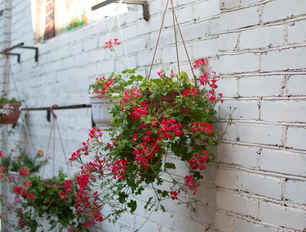 Фото Центральный