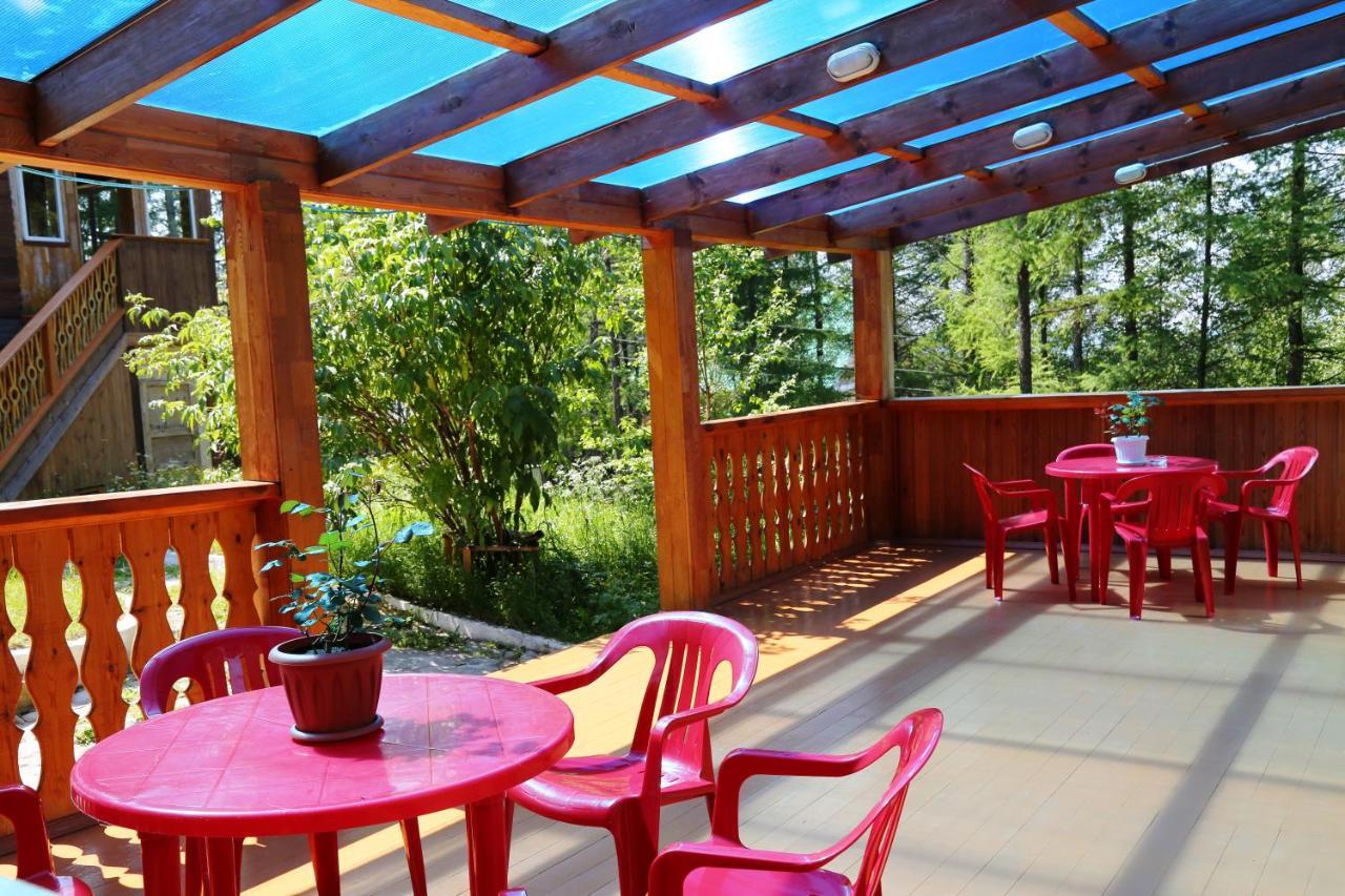 Фото Звездный