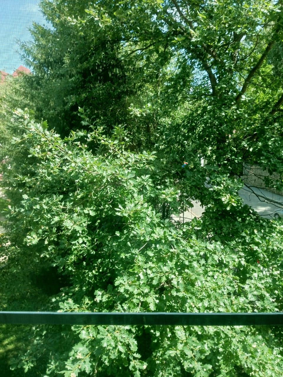 Фото Эврика