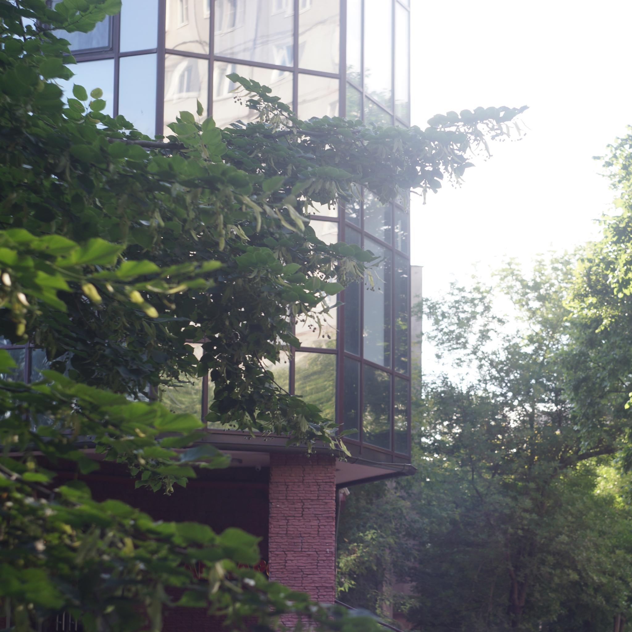 Фото Ампаро