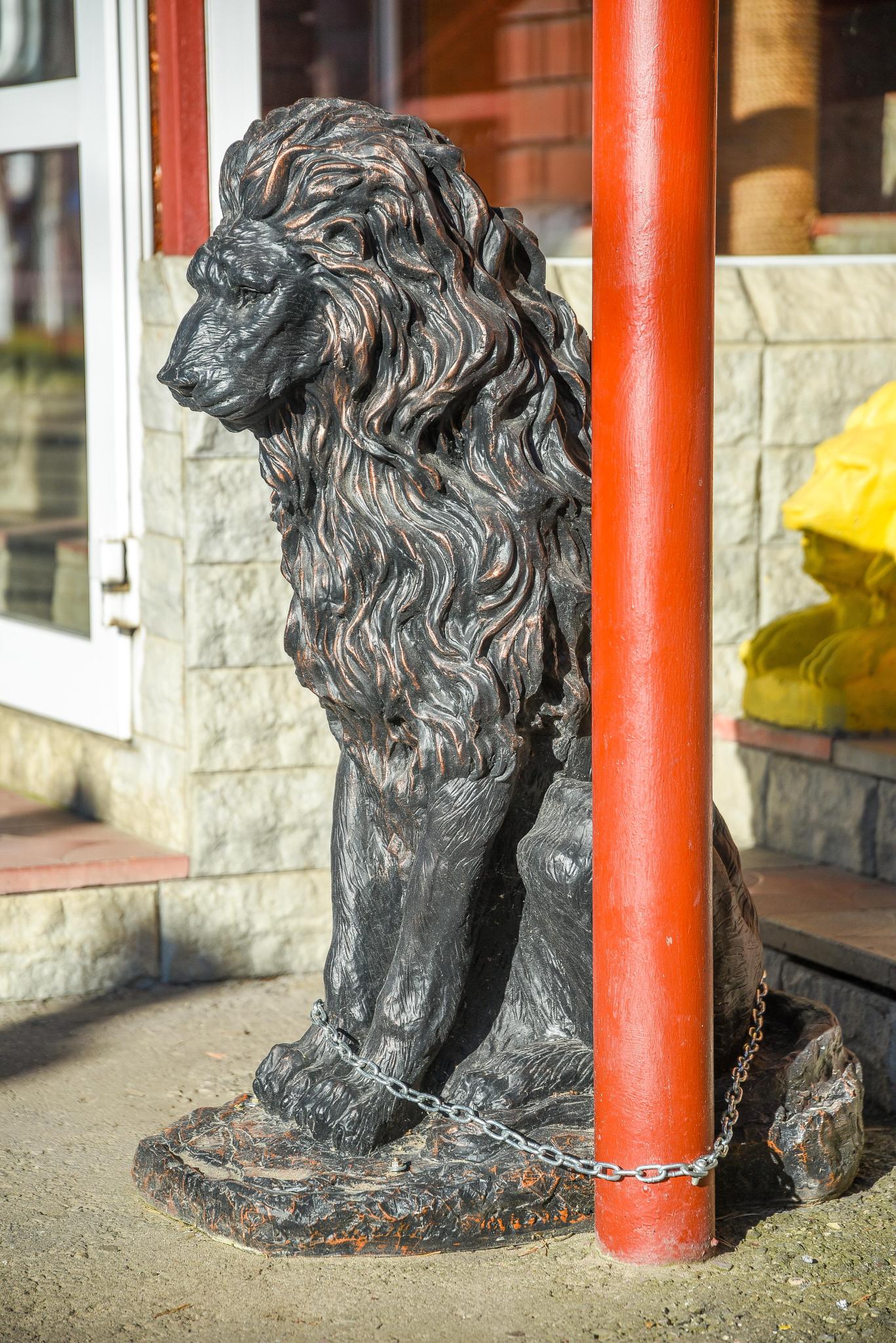 Фото Рубикон