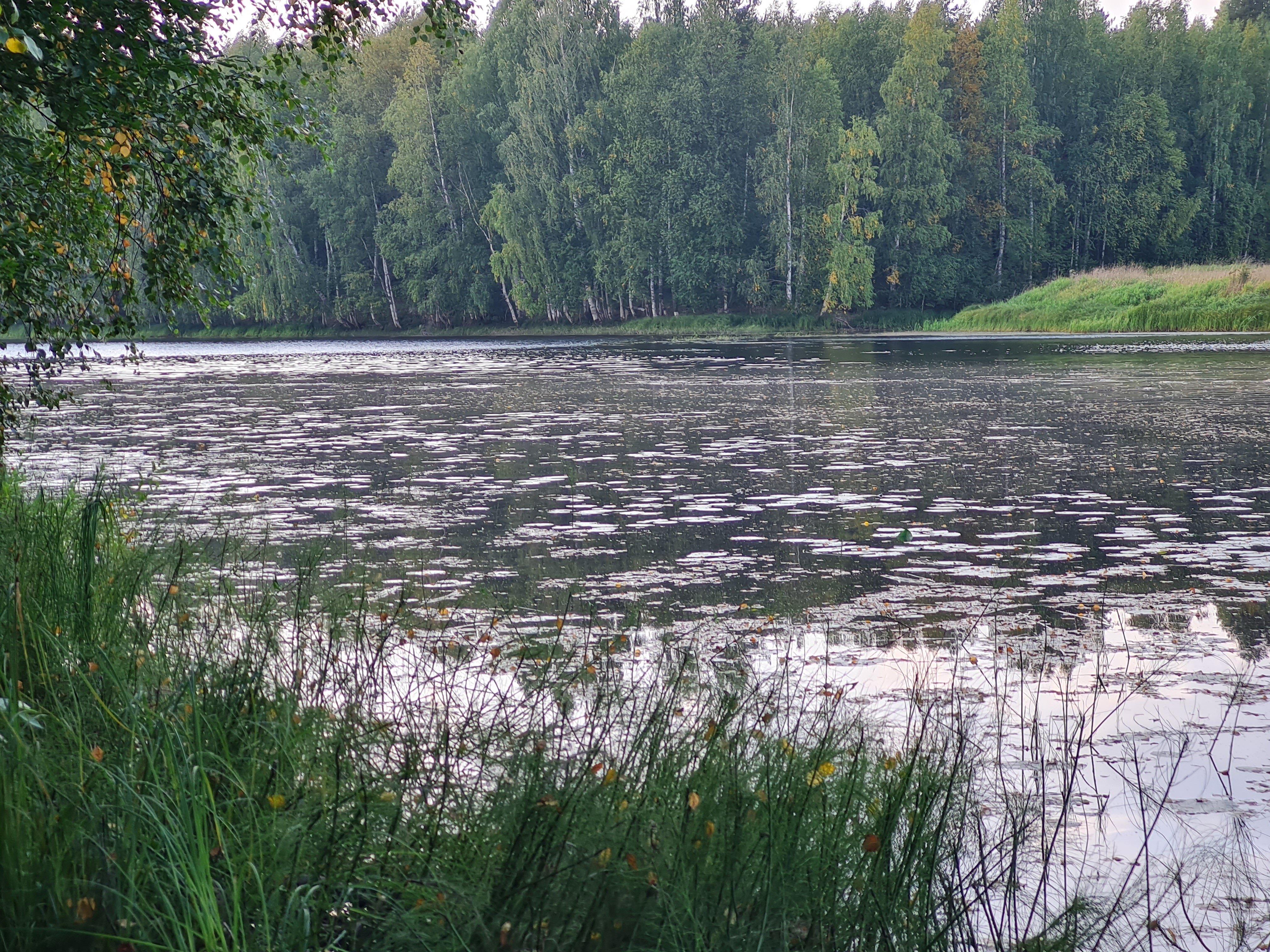 Фото Harakka Talo
