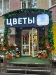 Гербера (Lenina Street, 328А), flower shop