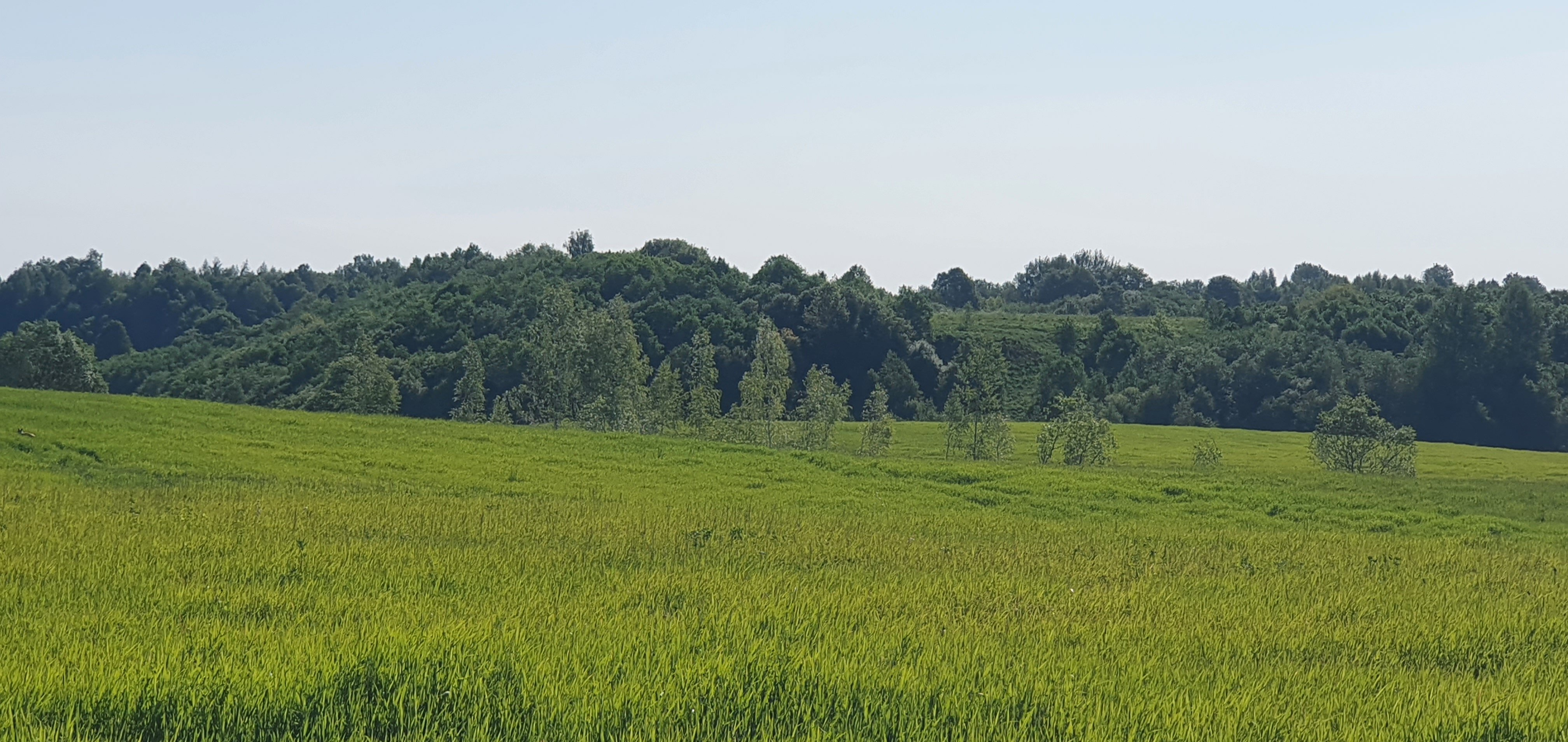 Фото Форт Логово в Бабариках