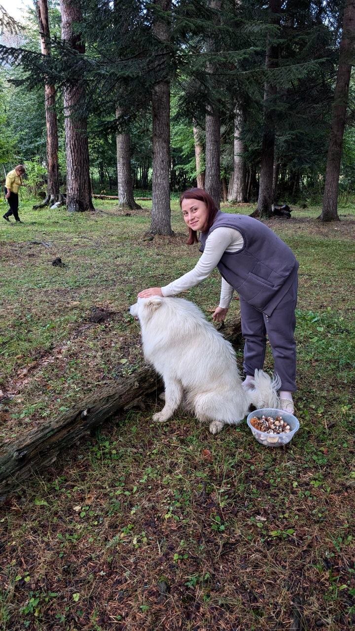 Фото Хижина