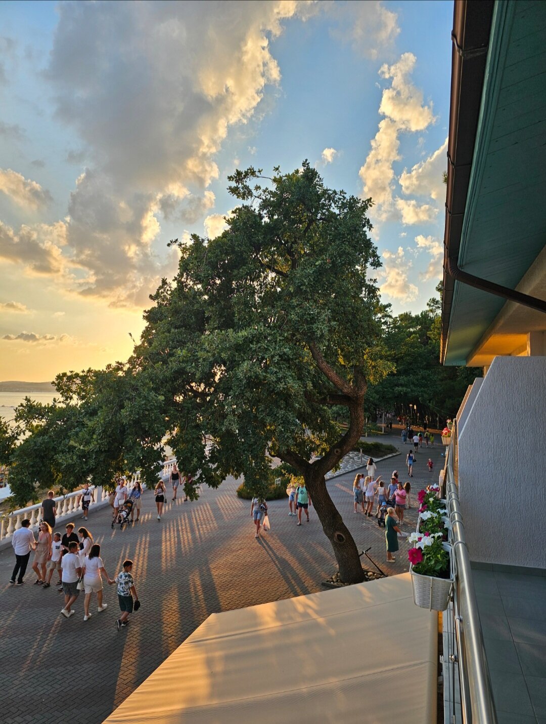 Фото Рони Шелтер