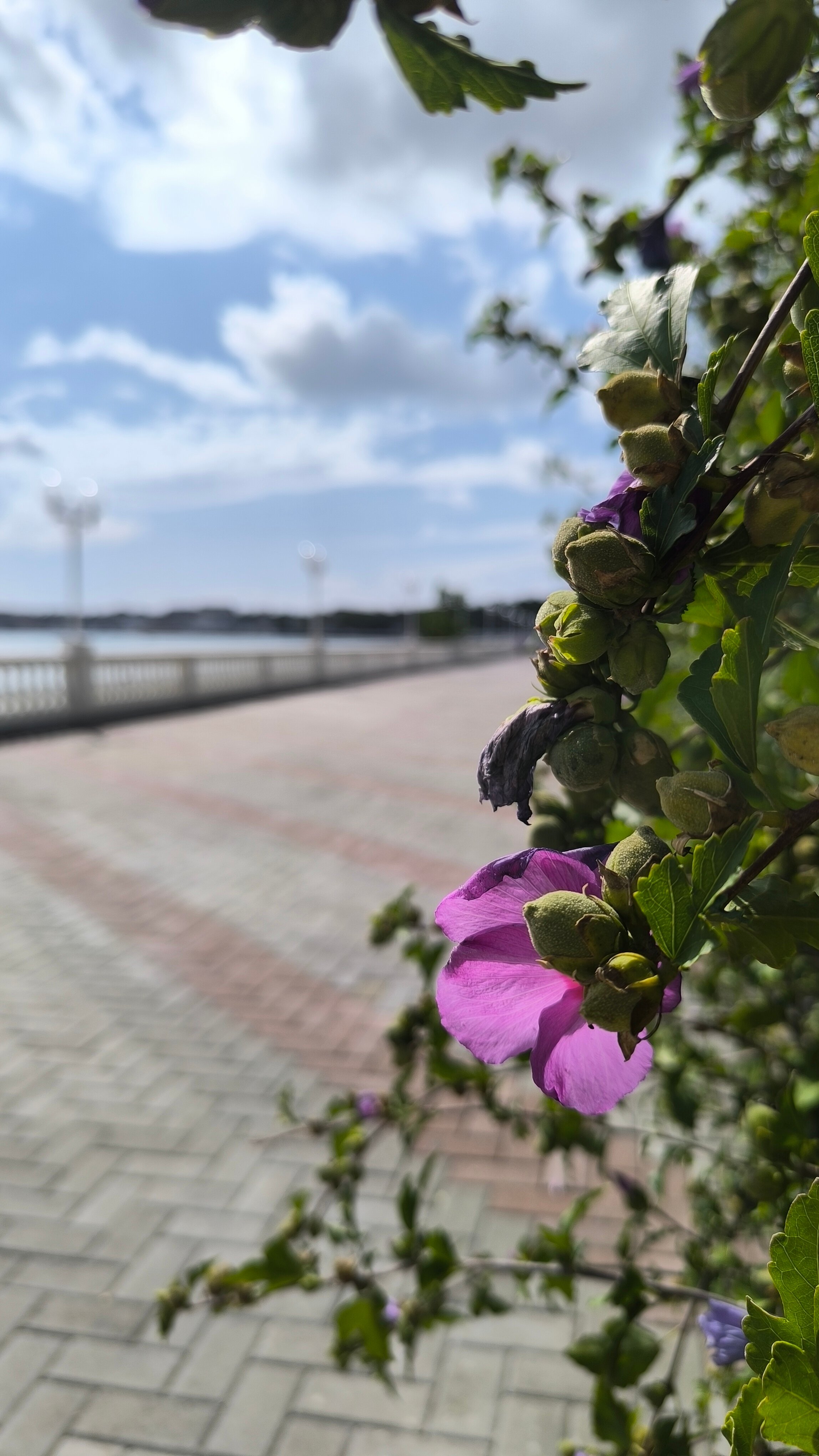 Фото Пляжный