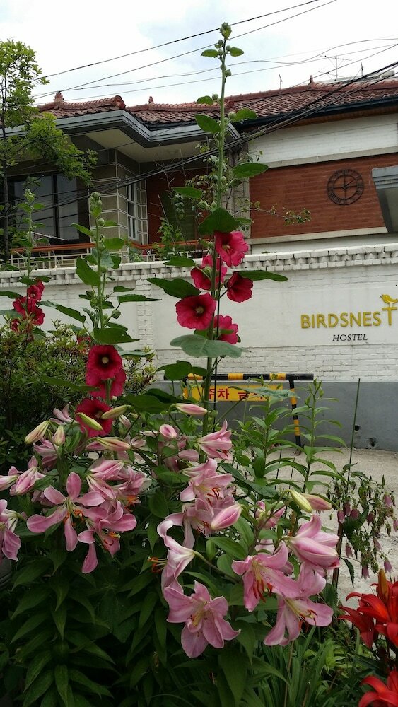 Фото Birdsnest Hostel Hongdae