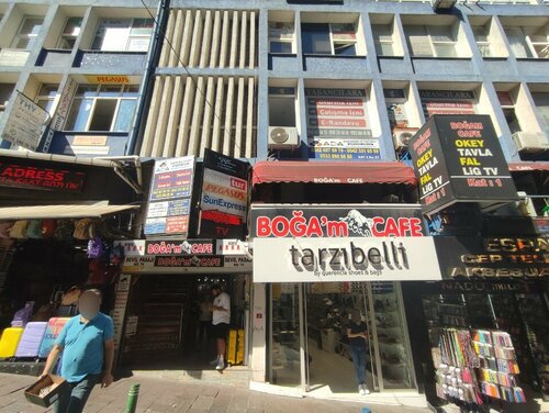 Homilador ayol bilan jinsiy aloqa yangi