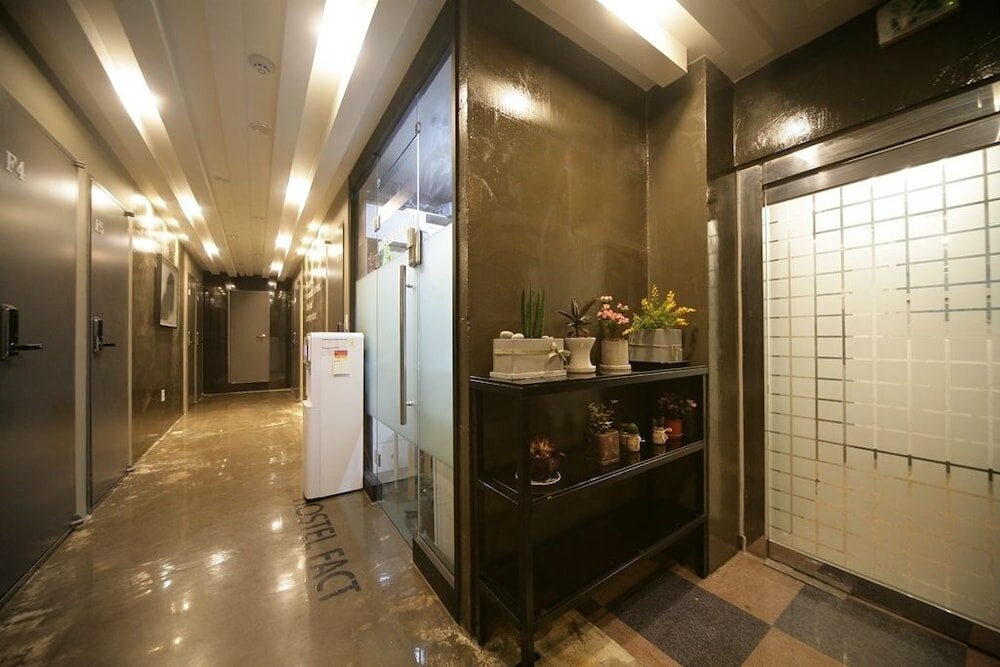 Фото Stella Hostel