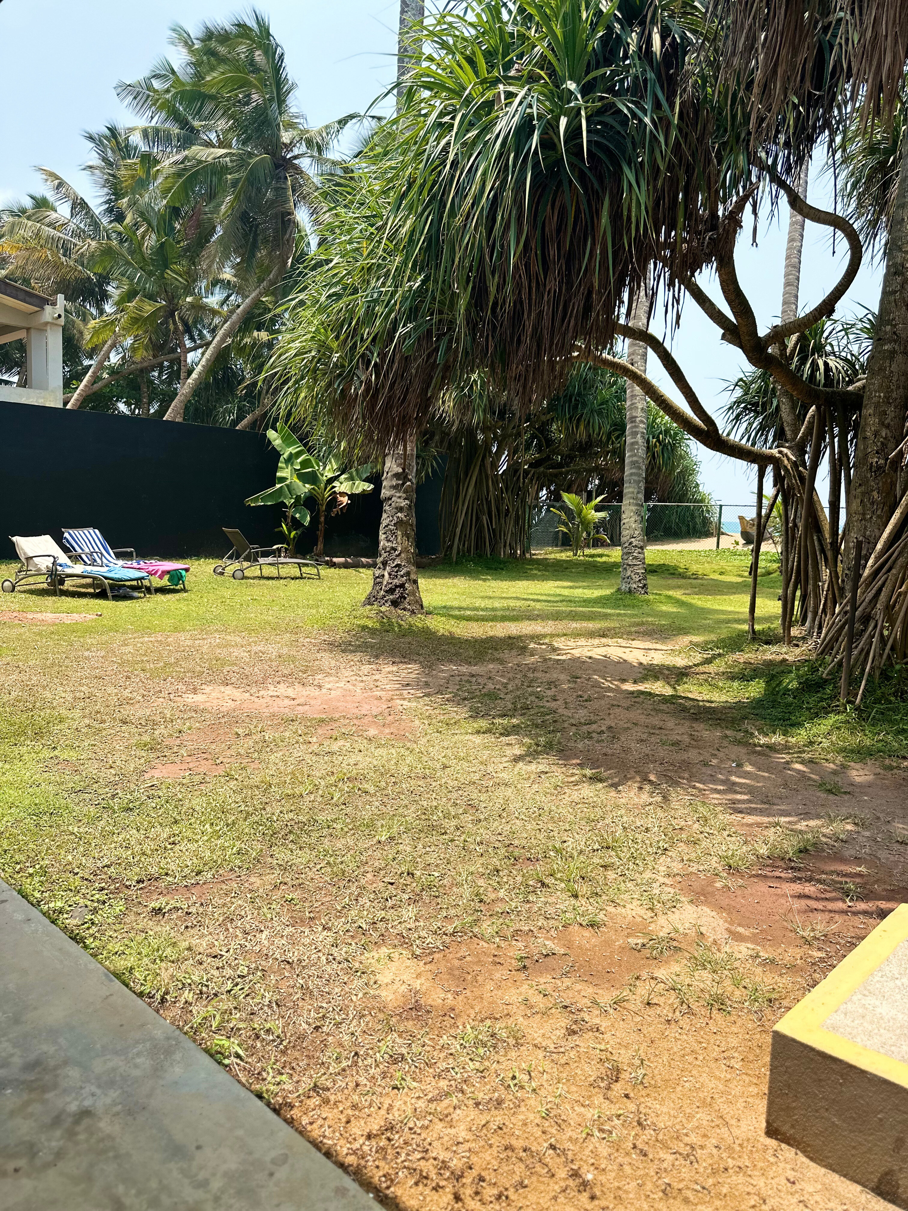 Фото Coco Royal Beach Resort - Waskaduwa