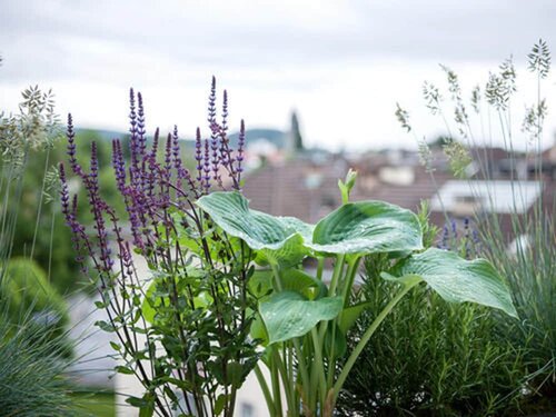 Внешний вид отеля Hotel Hottingen в Цюрихе, фото 4