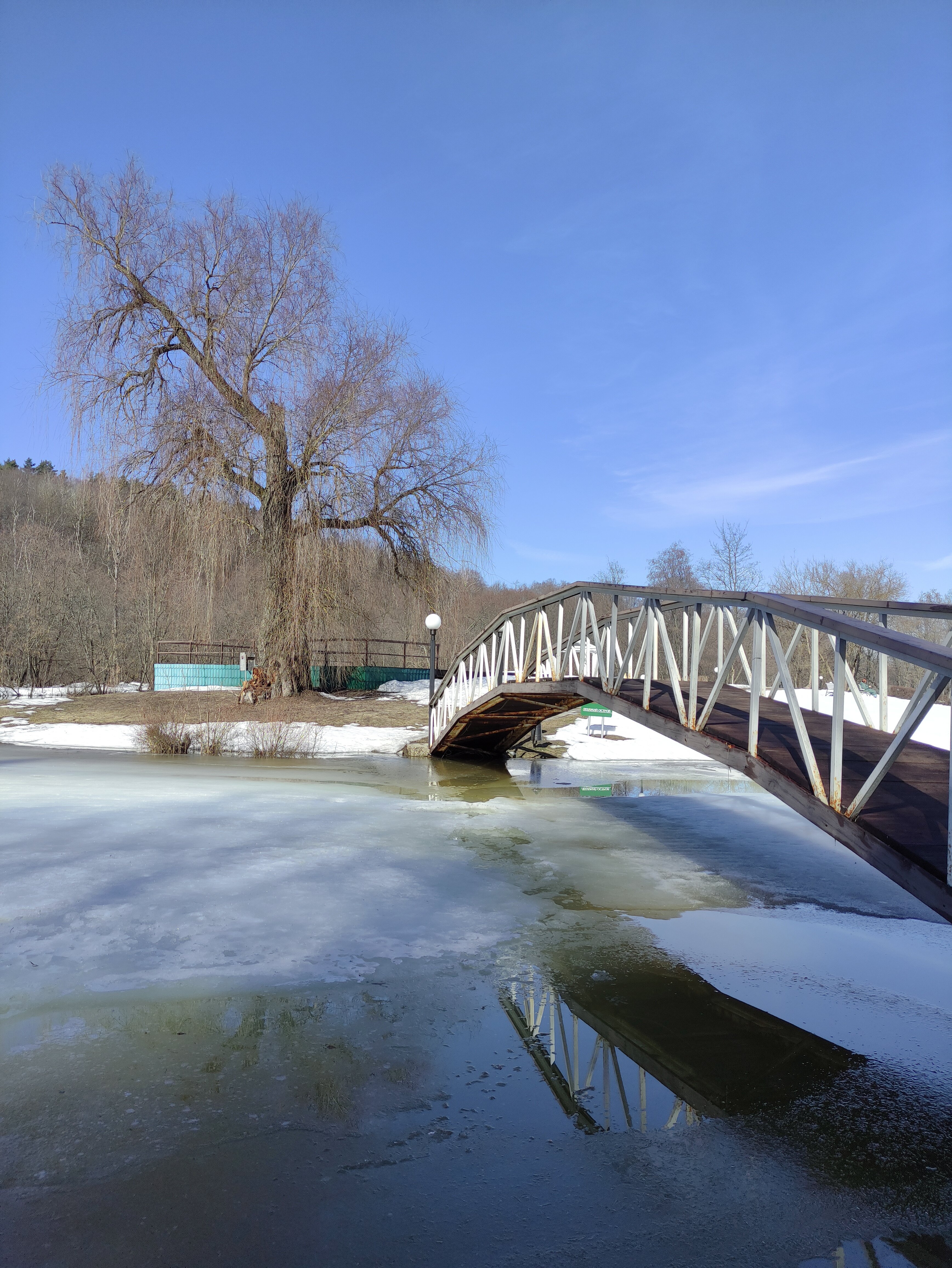 Фото Планерное