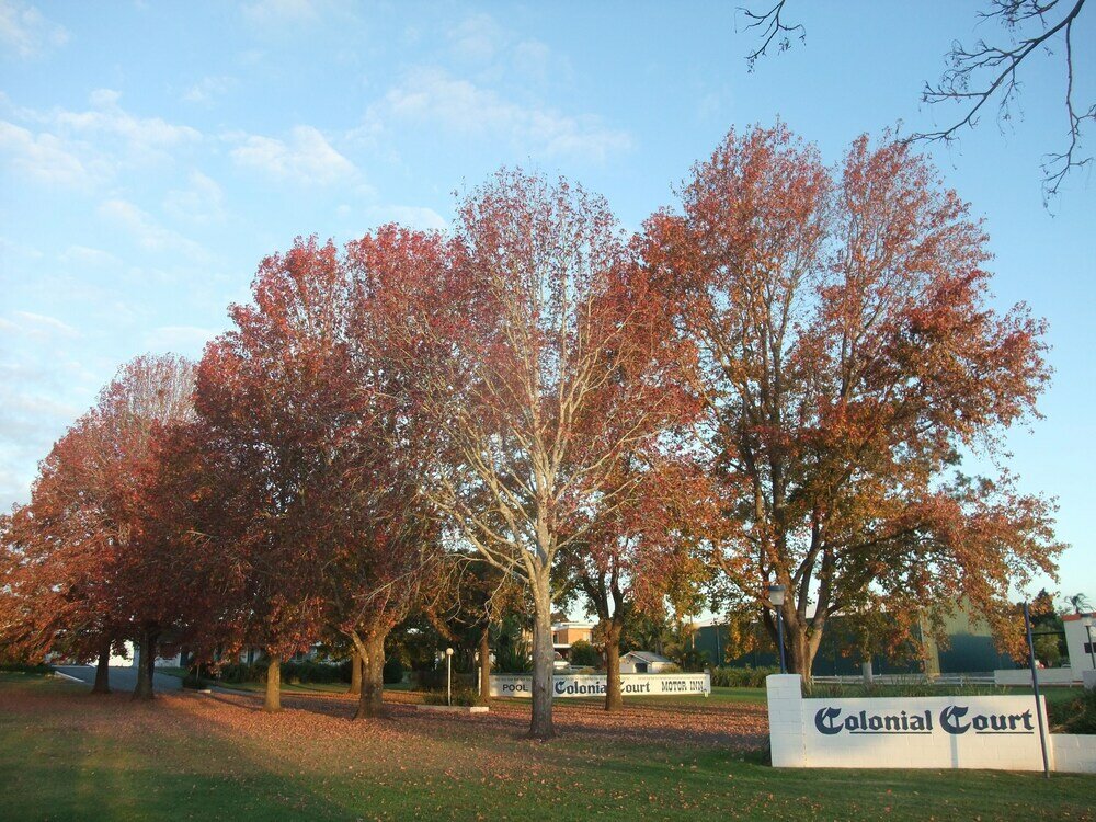 Фото Colonial Court Motor Inn