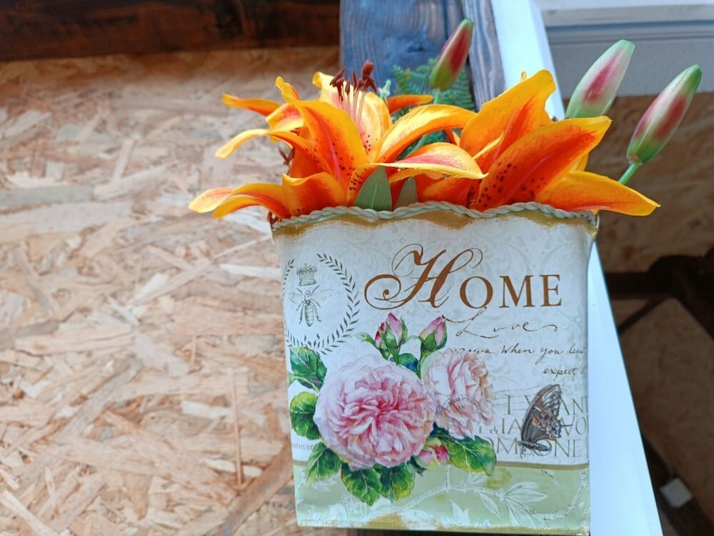 Фото Bosnian Pyramid Glamping