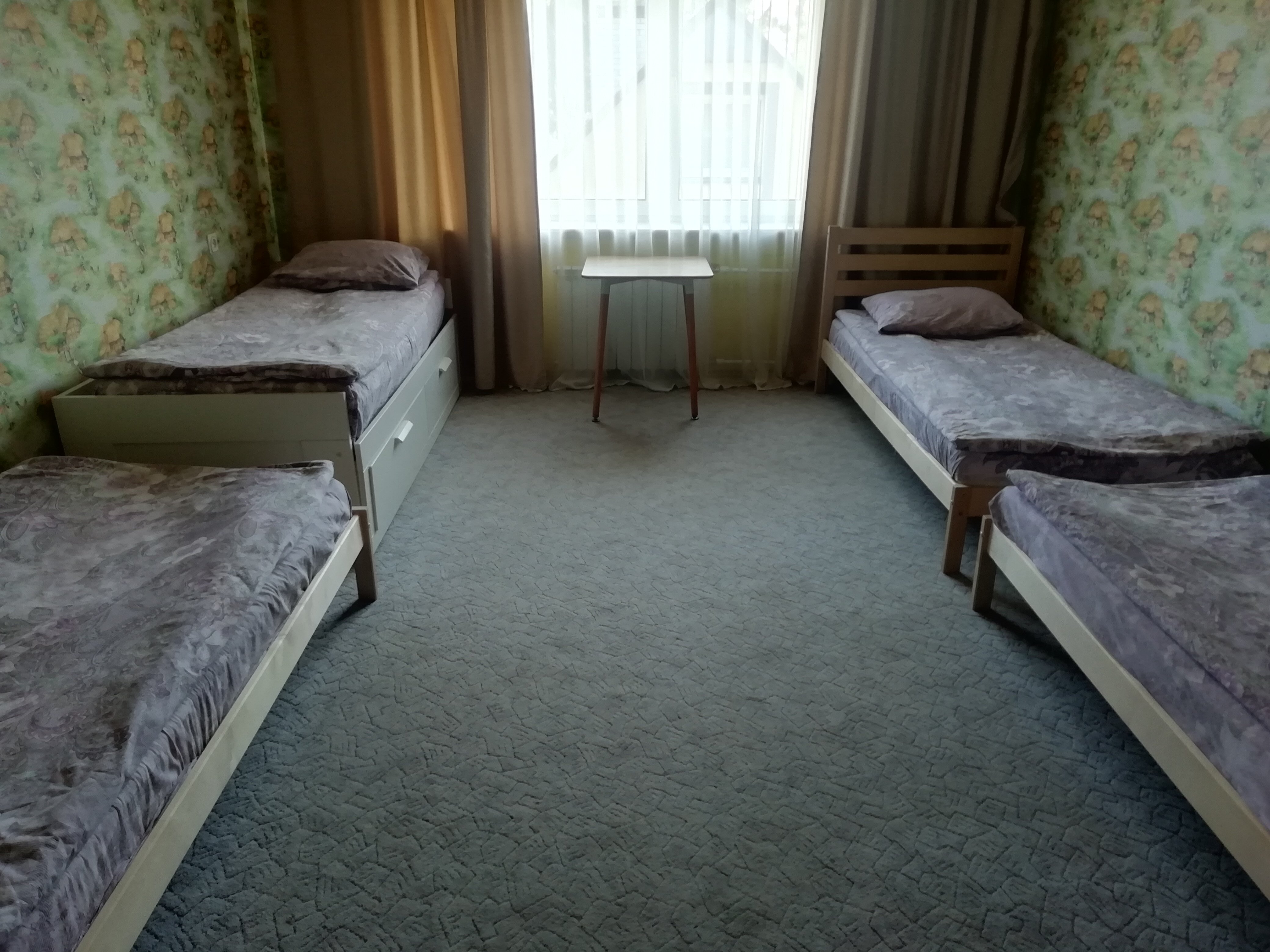 Фото В Ёлках