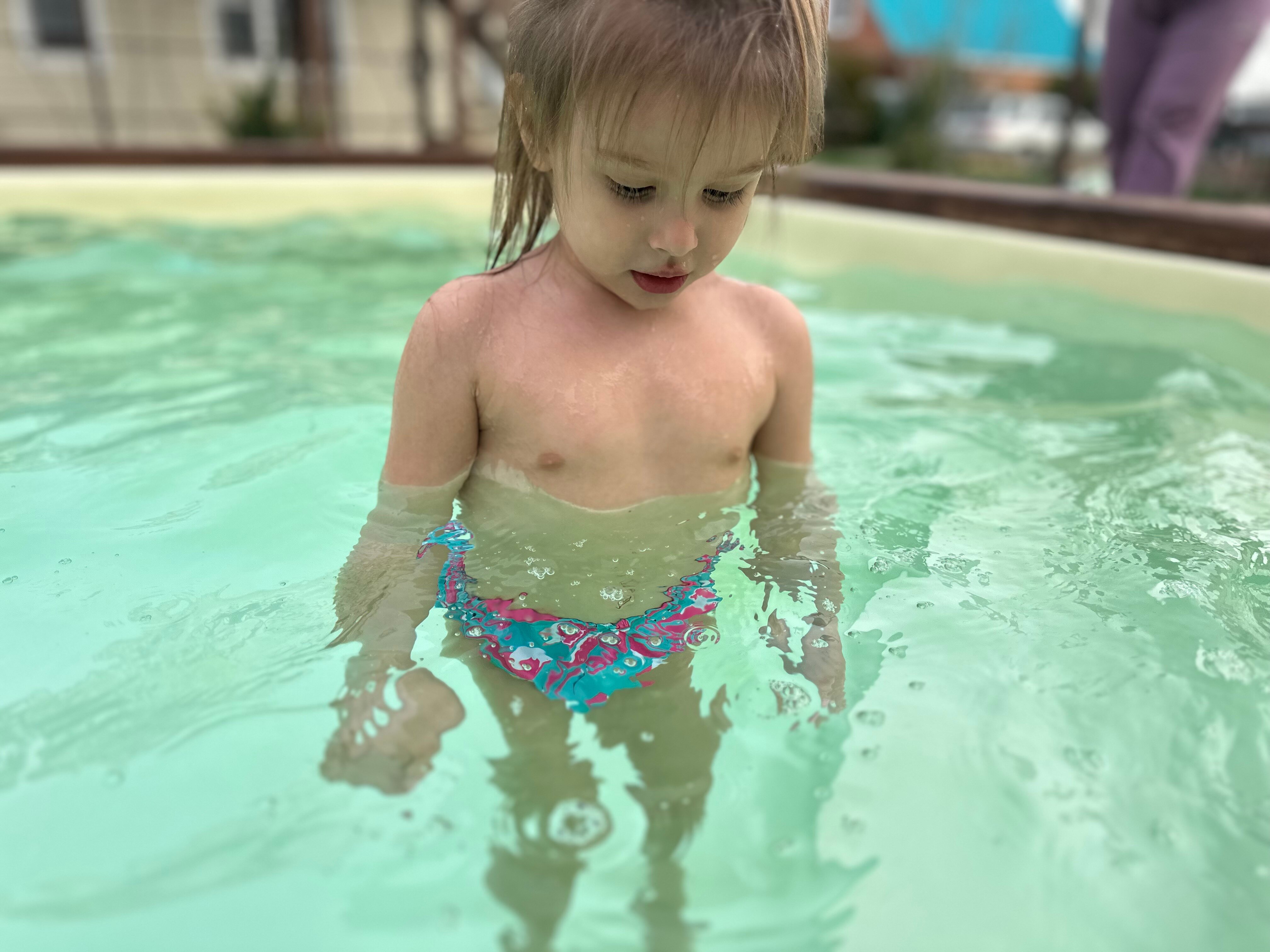 Фото 38 Попугаев