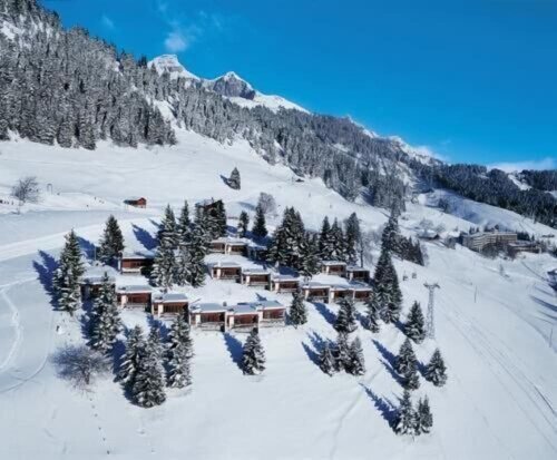 Гостиница Leysin Lodge в Лезене