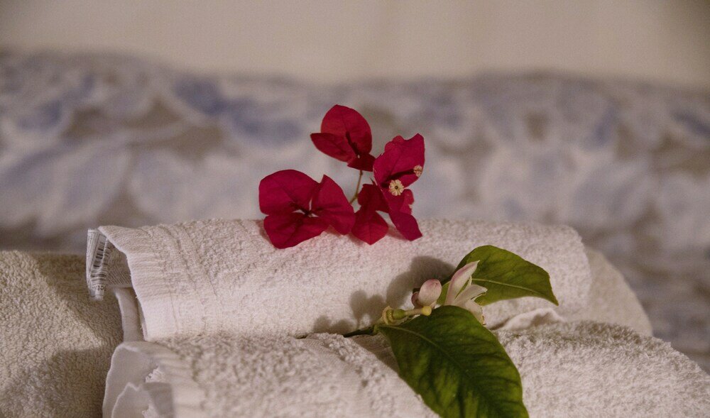 Фото La Querencia