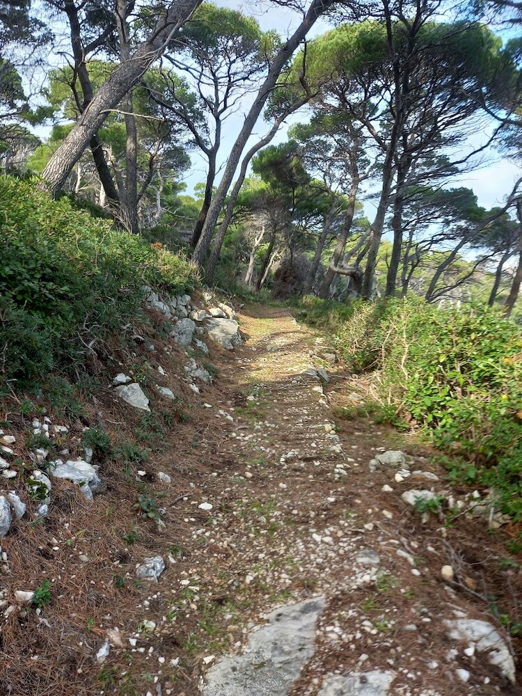 Фото Villa Sea Dream