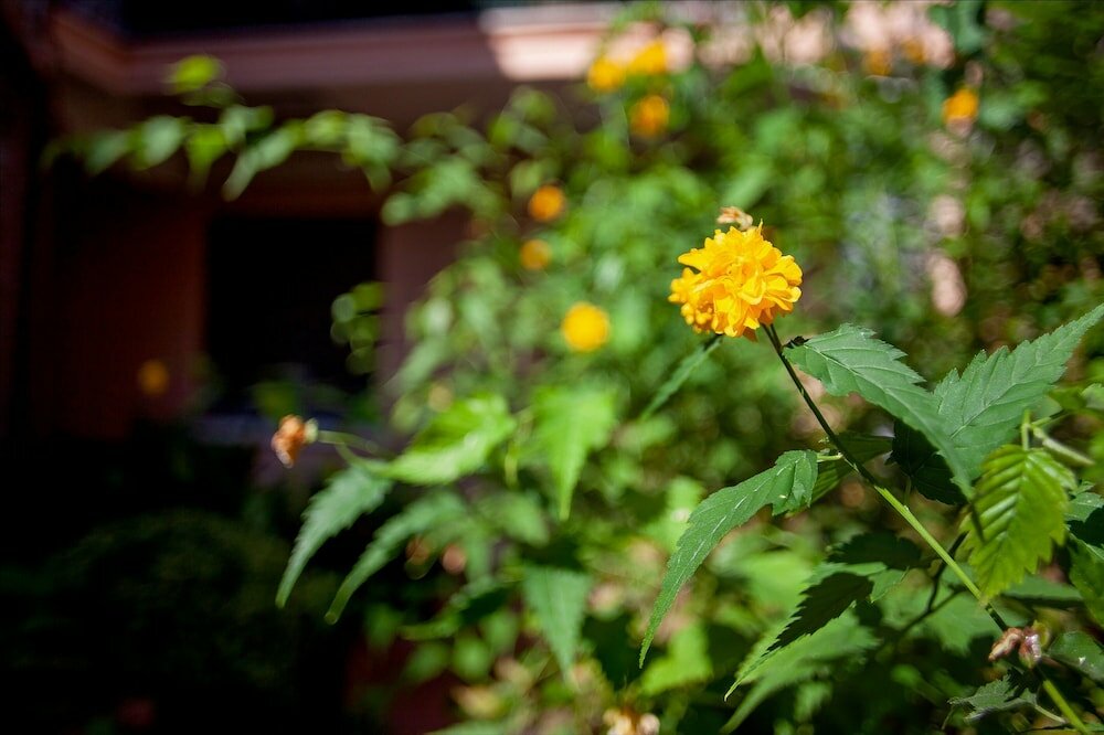 Фото Duplex Apartment In Pieno Centro