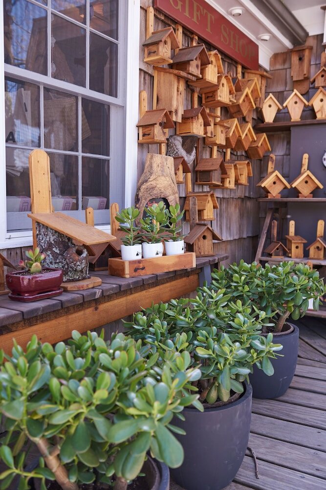 Фото Hampton Maid Motel