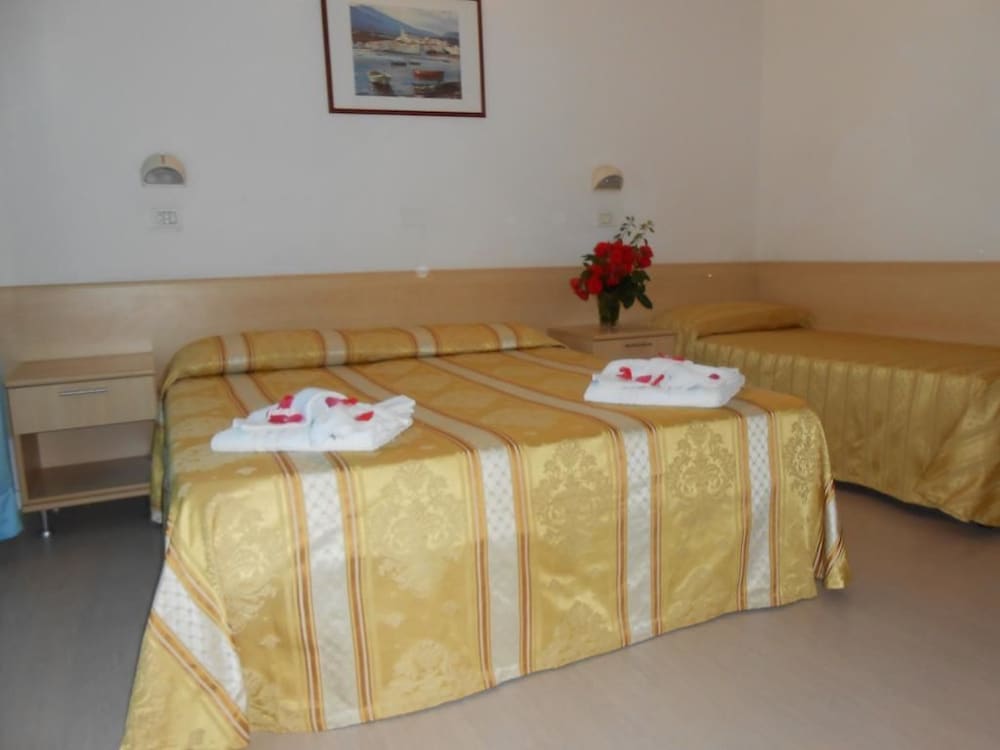 Фото Hotel New Primula