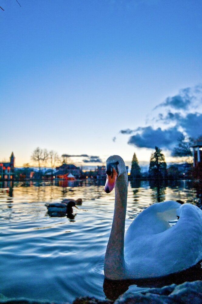 Фото Hotel del Prado