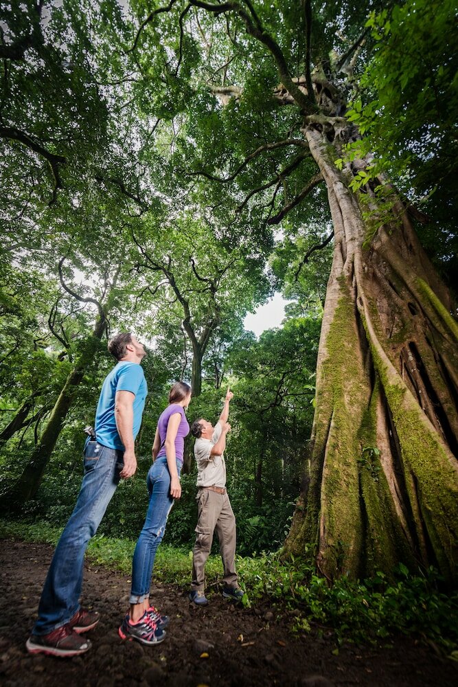 Фото Borinquen Thermal Resort