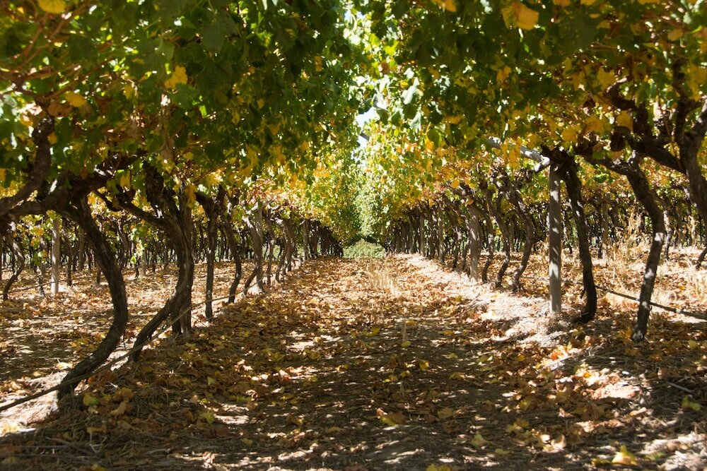 Фото Goedemoed Farm Guest House