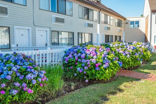 Внешний вид отеля Admiralty Inn & Suites в Фалмуте, фото 4