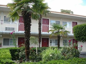 Гостиница Dream Inn