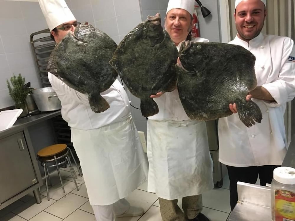 Фото Formula International & Puravita SPA