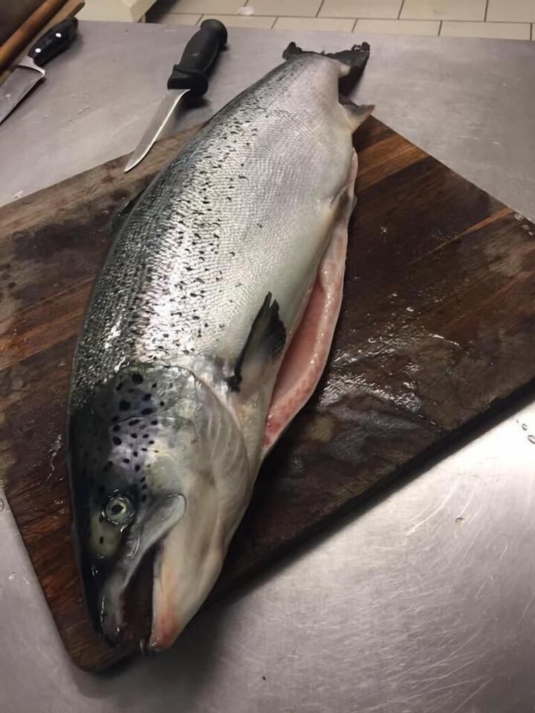 Фото Formula International & Puravita SPA