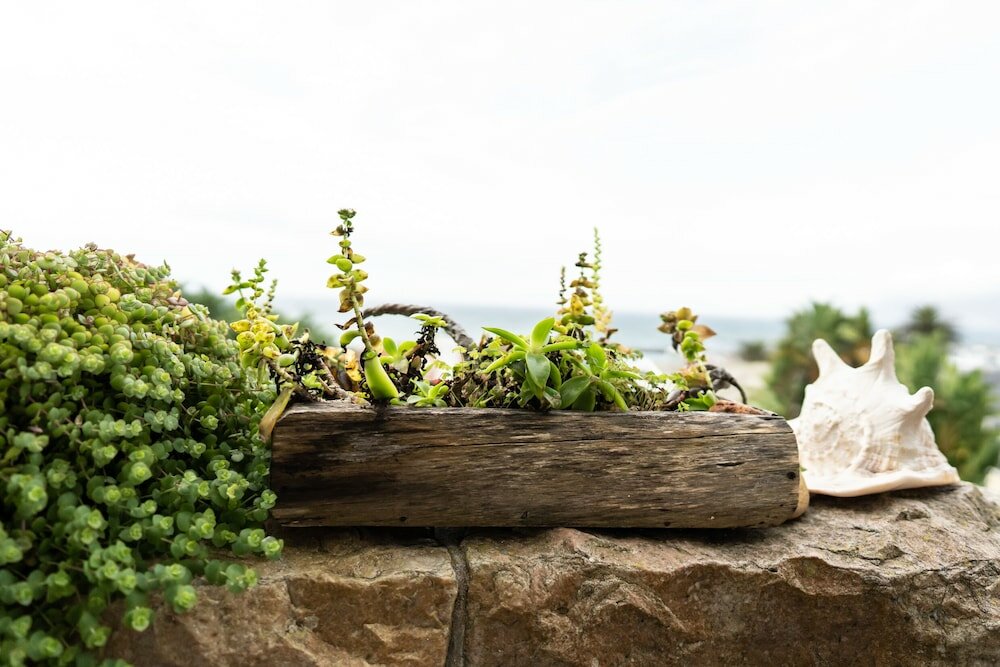 Фото Chartfield Guesthouse