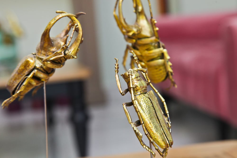 Фото La Villa Nice Promenade