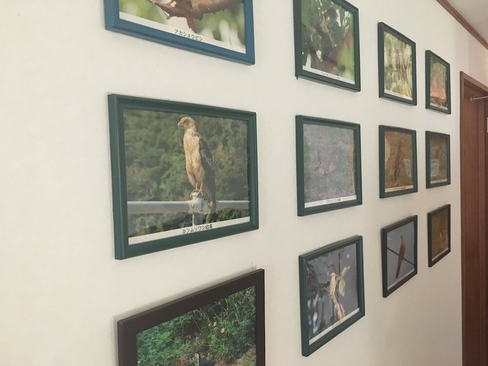 Фото Pension New Hamanoso