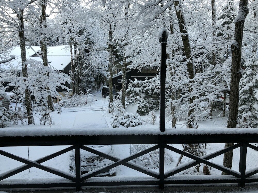 Фото The Guest House Japan Hakuba