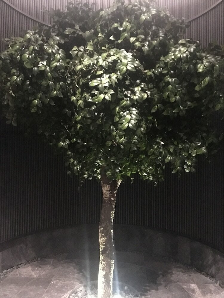 Фото Shadow Play 2Bed Ocean View Apartment