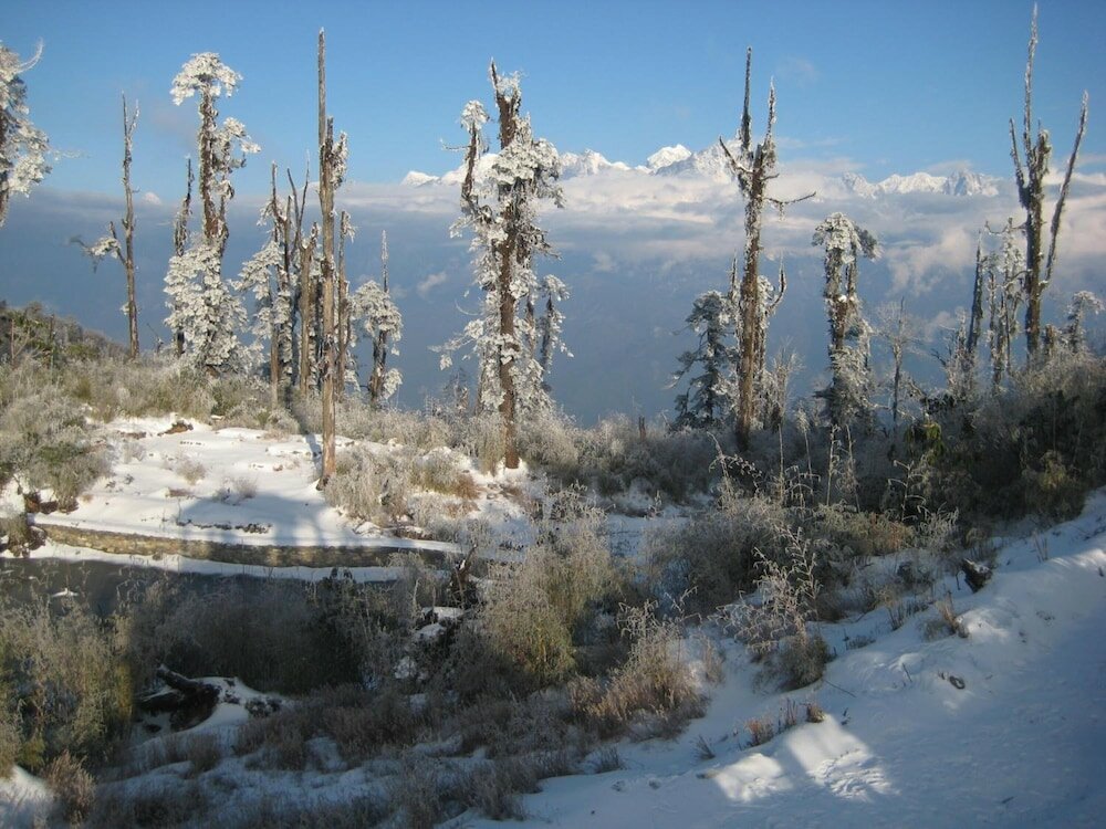 Фото Juniper Residency