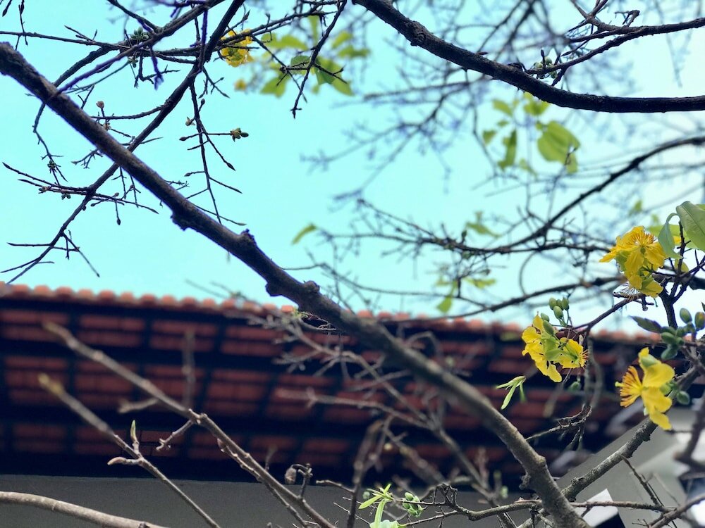 Фото Khanh's Home