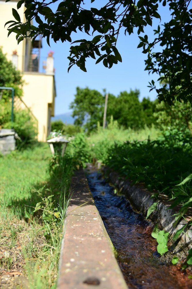 Фото Giardino Arancio