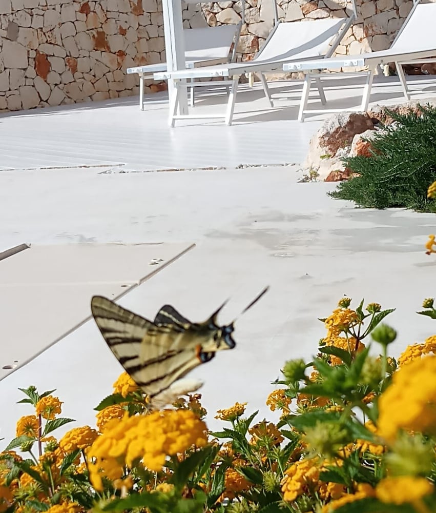 Фото Dimora il Mandorlo