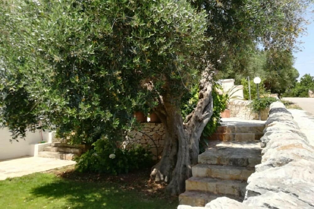 Фото Residenza Aurora