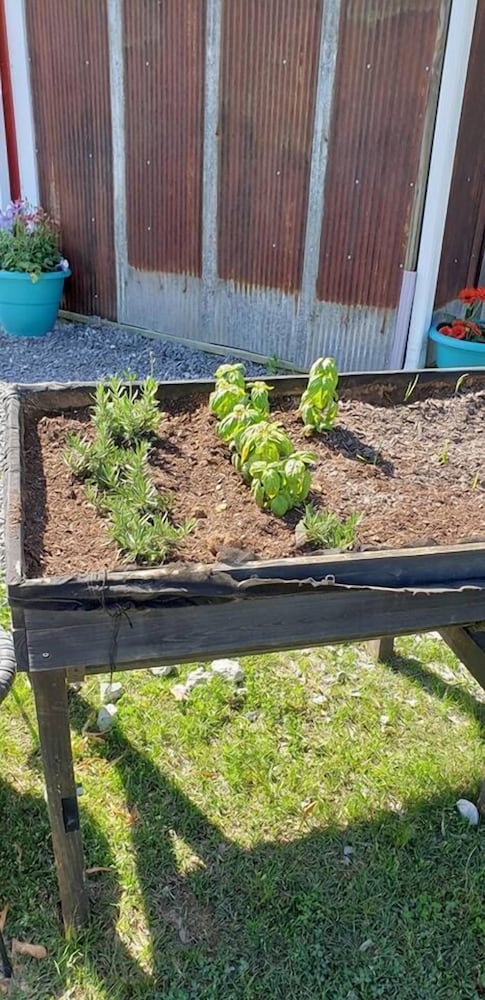 Фото Sassy Springs Retreat